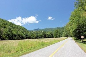 Cataloochee