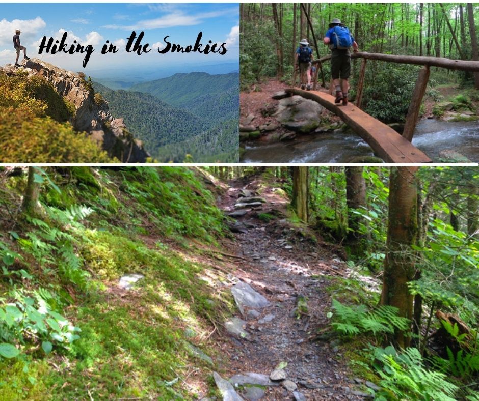 Episode 8 Hiking in the Smokies Smokies Adventure