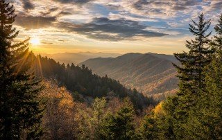 Smoky mountain honeymoon