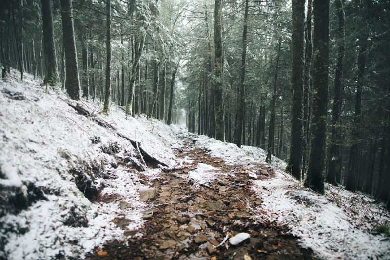hike through a winter wonderland.