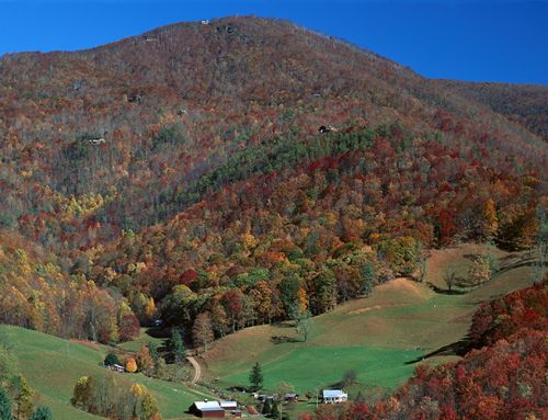 Engage All Five Senses with These Delightful Things to Do in Maggie Valley, NC